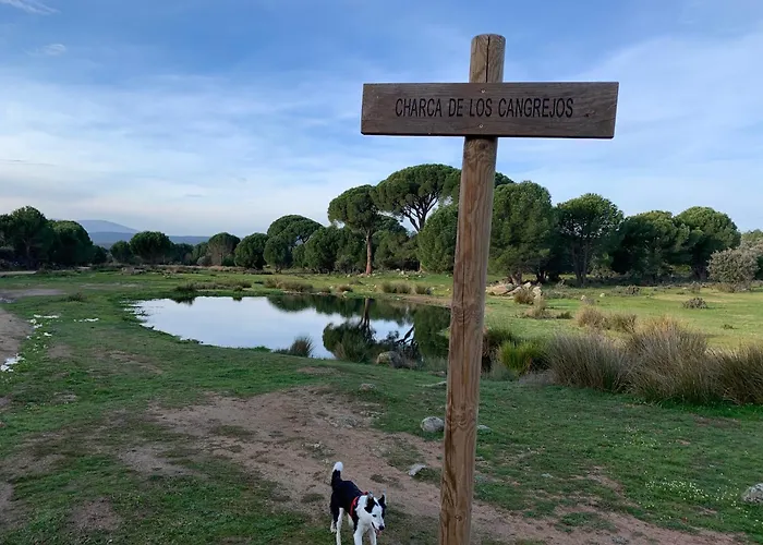 El Refugio de Felix
