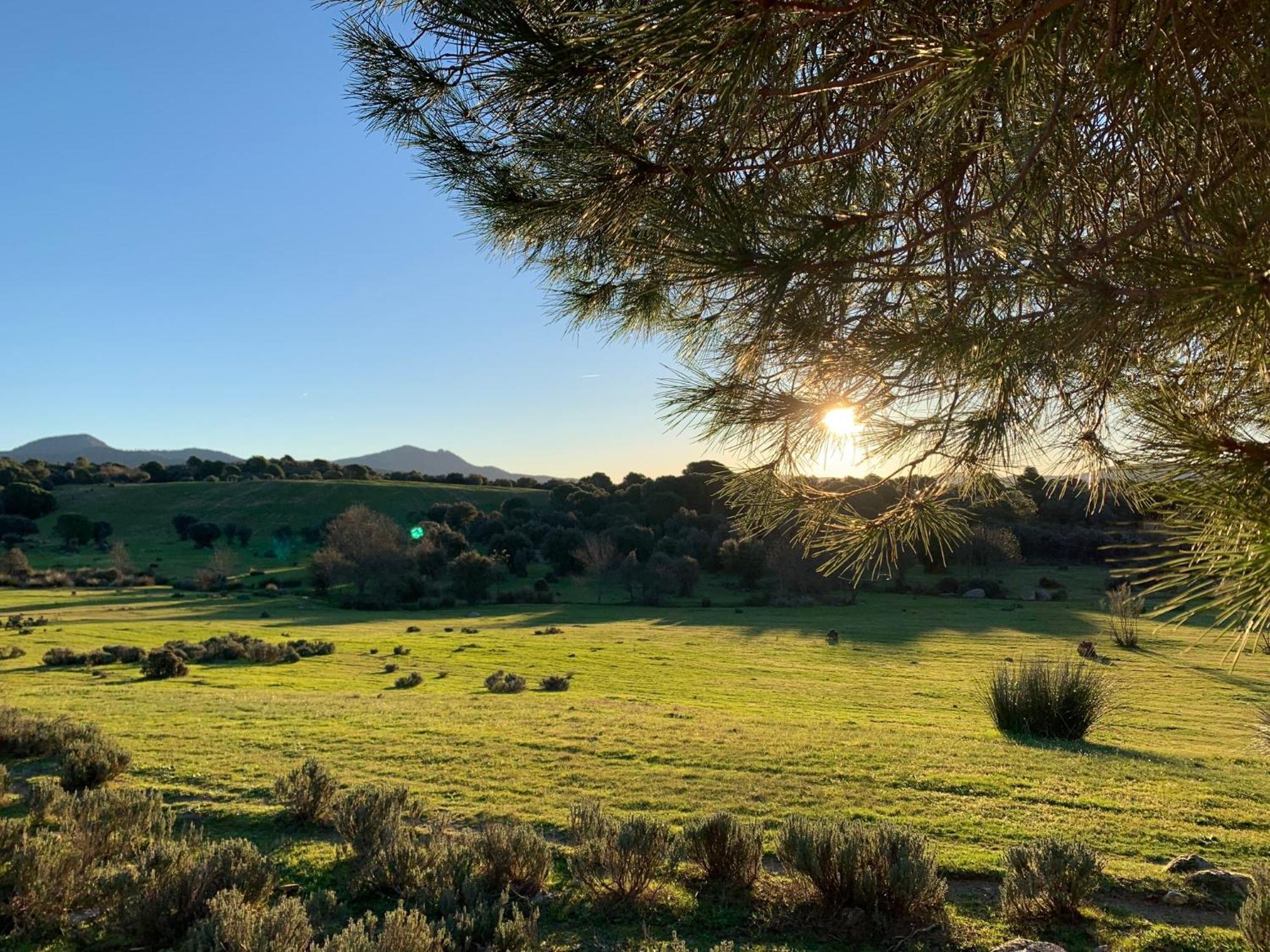 El Refugio De Felix