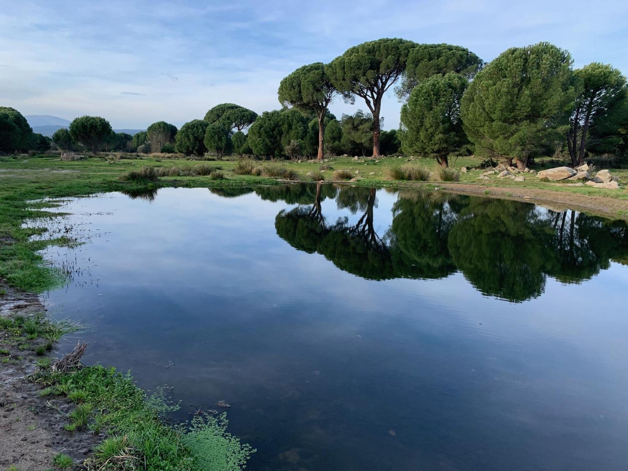 Сasa de vacaciones El Refugio De Felix Sotillo de la Adrada
