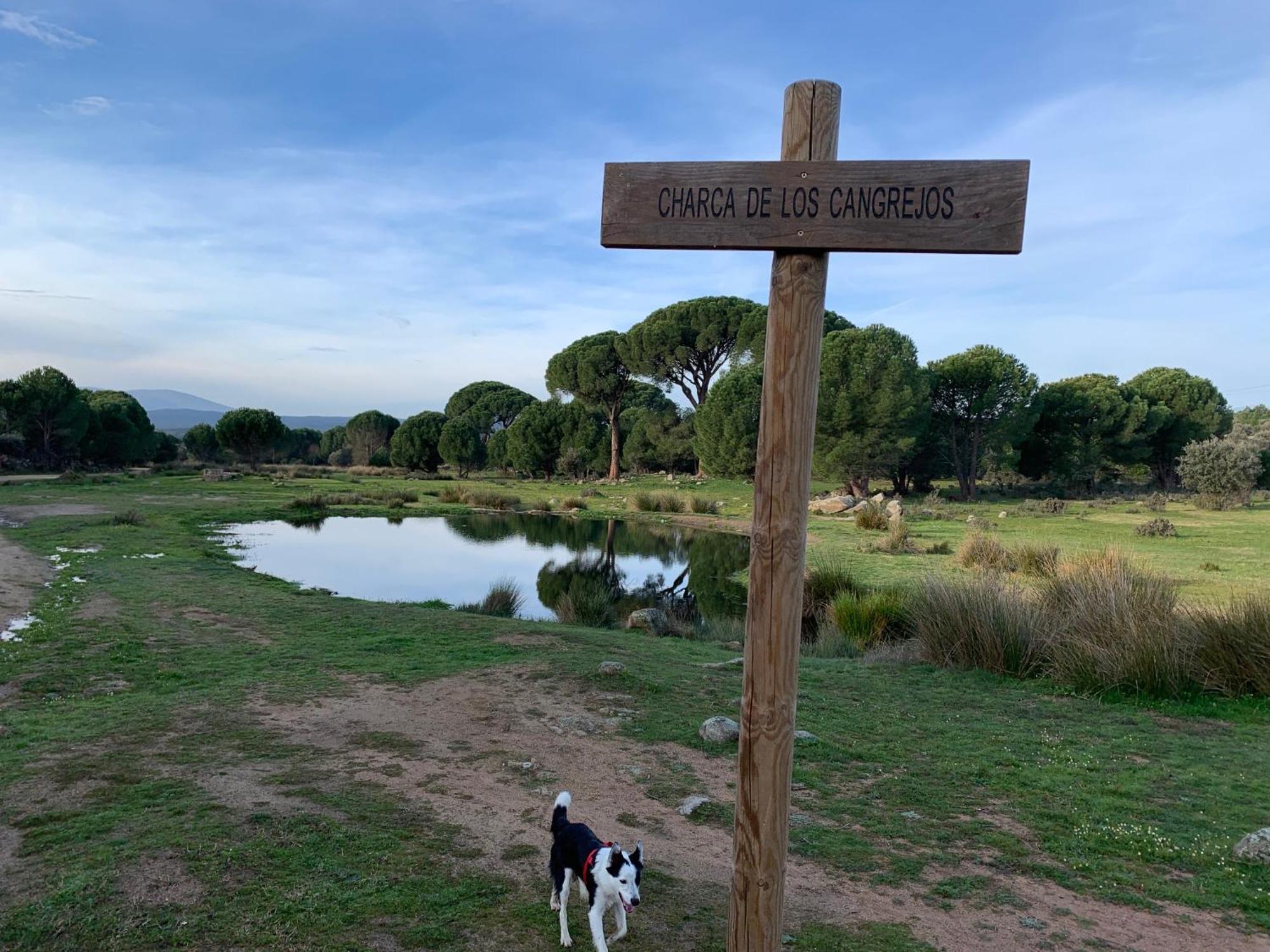 El Refugio De Felix * Sotillo de la Adrada